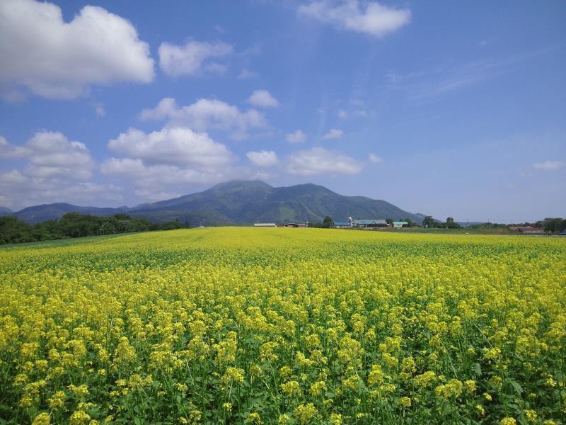 Karimpani Niseko Fujiyama Hostel Exterior photo